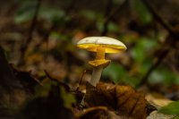 09 MarleneLund, LysiMorket, Odder Fotoklub