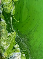 36 ErikPaaschJensen, Algesuppe, AFA Aarhus