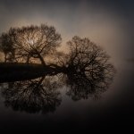 34 Dalsjo, Niklas_Spejling, Fotoklubben Focus Silkeborg