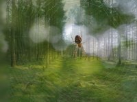 05 HelleRochat, skovmystik, Odder Fotoklub